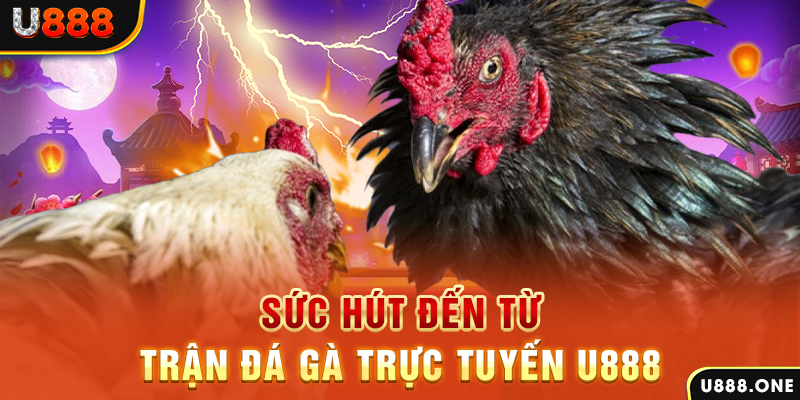 1179king đá gà trực tiếp c1