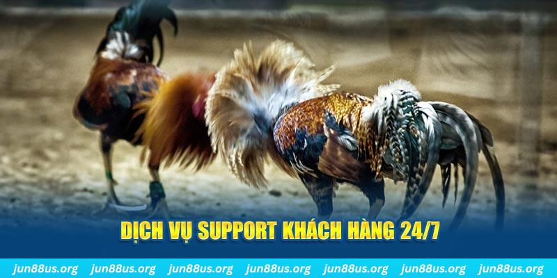 1179king ÁT CHỦ BÀI GIÀNH LẤY ZHUANG NIUNIU ( XEM 4 LÁ )