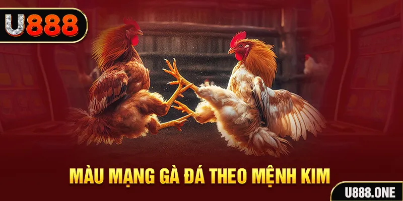 1179king Cỡ bảy