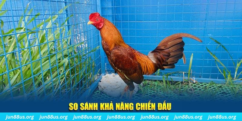 1179king CQ9 Điện Tử