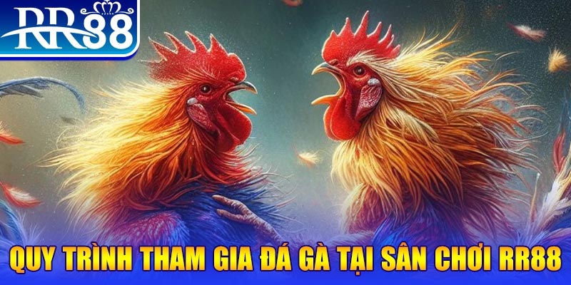 1179king đá gà cam 67