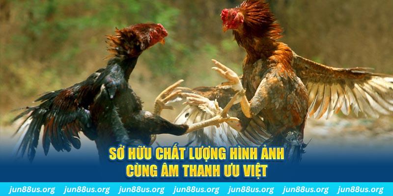 1179king PP Điện Tử