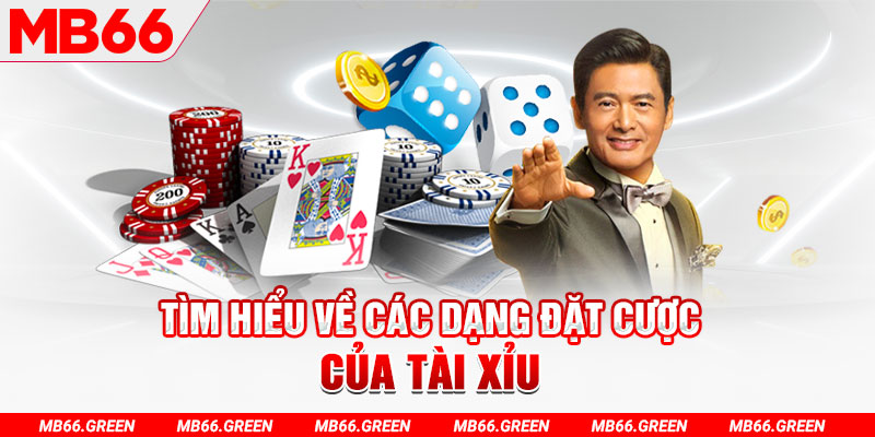 1179king what is a virtual casino