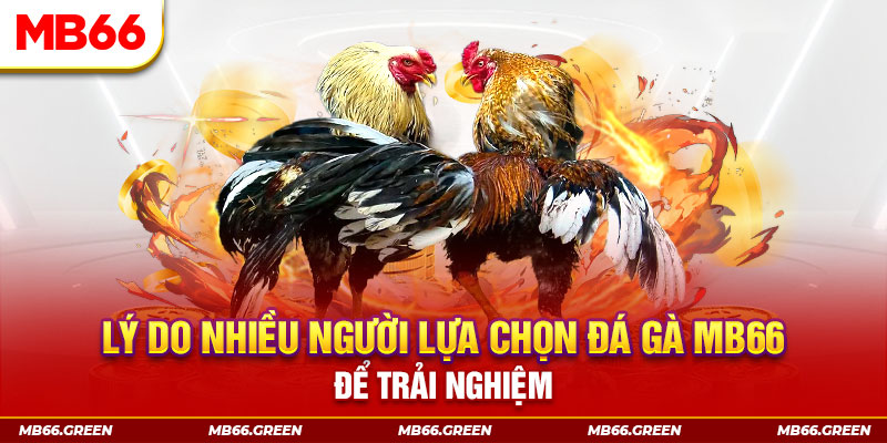 1179king xổ số miền bắc thứ bảy hàng tuần