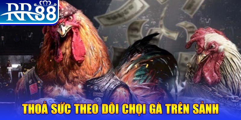 1179king trực tiếp đá gà c1