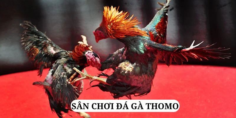 1179king trực tiếp xổ số miền bắc